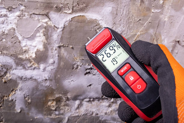 Best Mold Removal Process  in Speers, PA