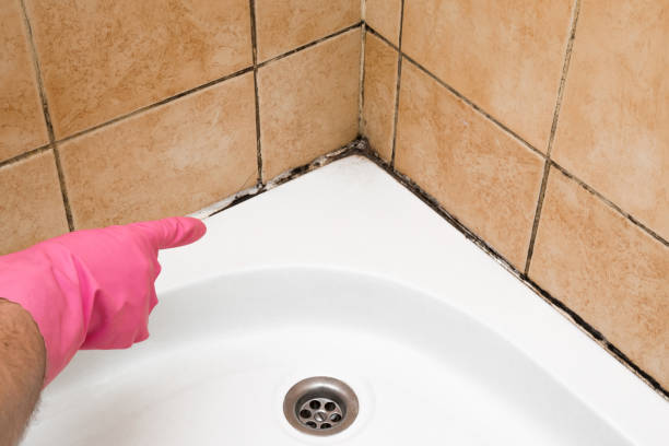 Best Residential Mold Removal  in Speers, PA